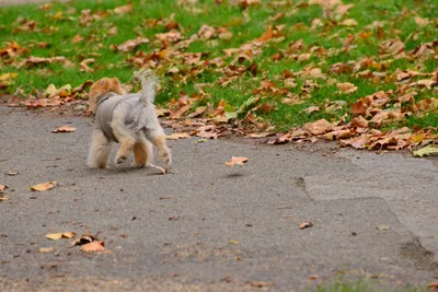 DSC_0583 (Large).JPG